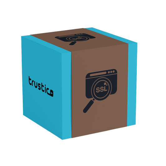 A 3D cube with brown and blue faces shows a browser window with a magnifying glass, SSL icon, and "Sectigo CA" on the side, representing Sectigo® DV + Wildcard and its subdomain security features.