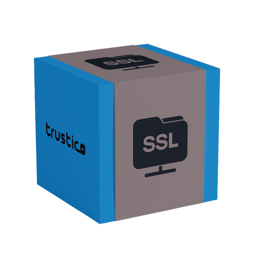 A blue and gray box displays the brand Sectigo CA on one side and an icon of a computer folder labeled "Sectigo® CaaS DV Single Site" with "Domain Validation" highlighted on the adjacent side.
