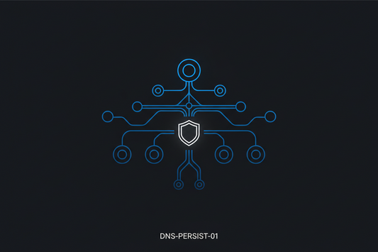 DNS-PERSIST-01 Explained : Persistent Authorization for ACME SSL Certificate Validation